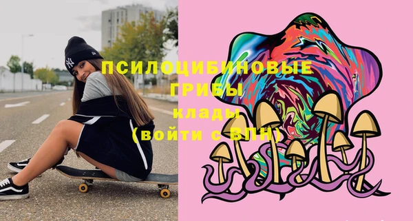 круглые Арсеньев