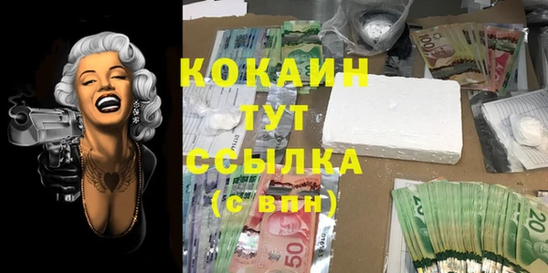 молекула духа Балахна