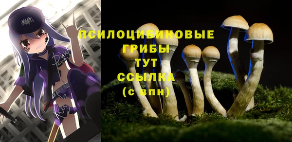 скорость Аркадак
