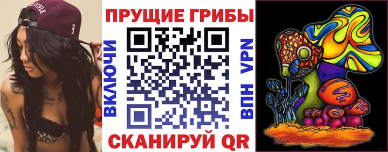 что такое наркотик  Скопин  Псилоцибиновые грибы прущие грибы 